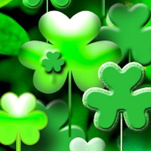 Meet your Posher, Starlynn